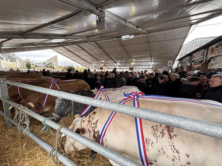 Parmi les prix de championnat, figurera l'animal du concours.