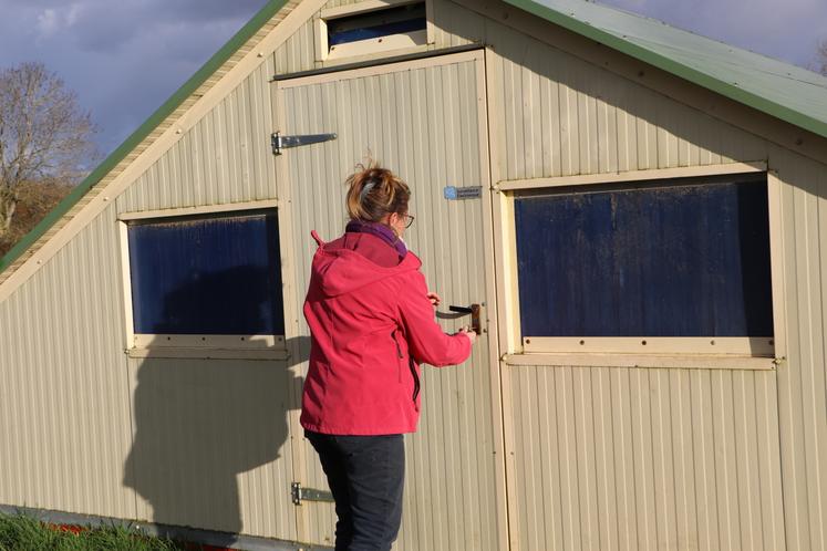 Elle espère produire une soixantaine de volailles par semaine, vendues en circuits courts.