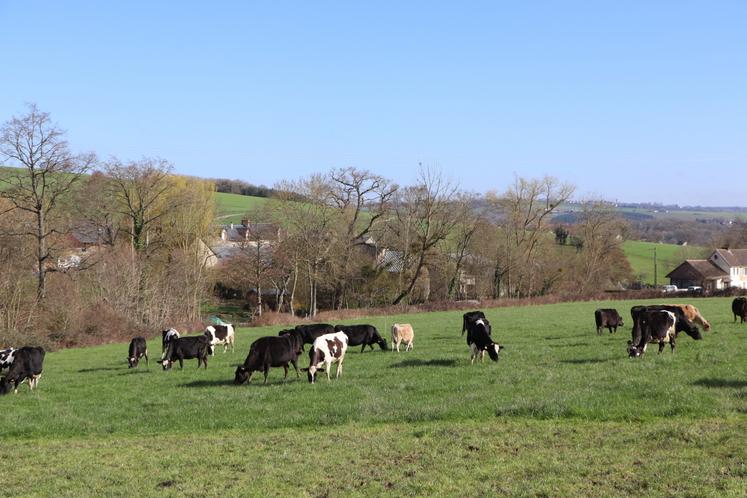 "La rigidité réglementaire ne répond pas aux besoins des exploitants, notamment face aux évolutions climatiques, économiques et sanitaires", remarque la Chambre.