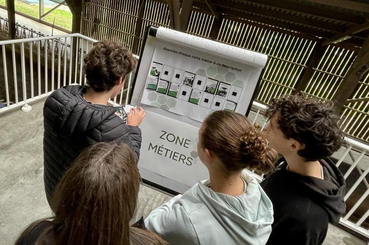 Les différents métiers du secteur agricole étaient décrits sur des fiches permettant de découvrir des codes secrets. 