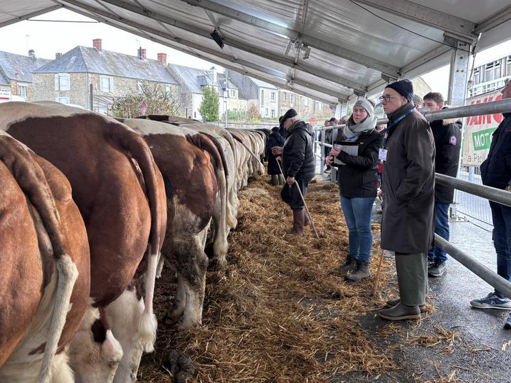 Festival de la viande