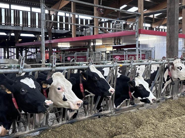 Les robots en arrière-plan sont dans un espace pas totalement fermé de manière à être protégé tout en pouvant garder un oeil sur les vaches.