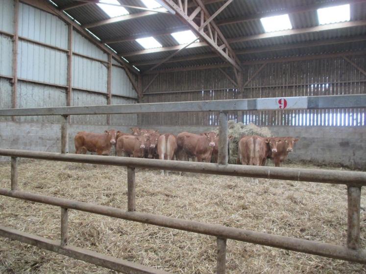 La gendarmerie effectue des contrôles sur les mouvements d'animaux