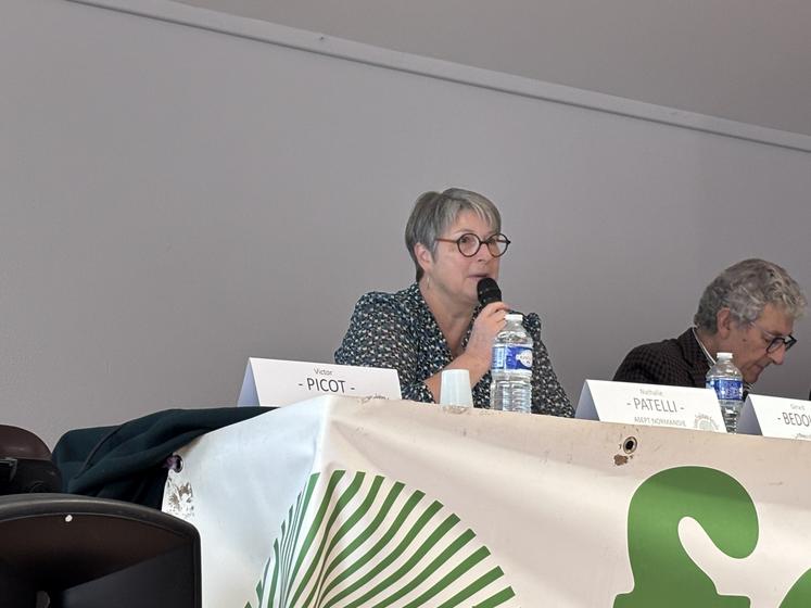 Nathalie Patelli, responsable de l'Asept Normandie.