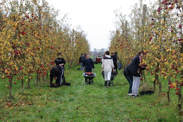 Le camion de la banque alimentaire a effectué deux allers-retours dans la matinée jusqu'aux petites l'Ouches, une conserverie et légumerie locale.