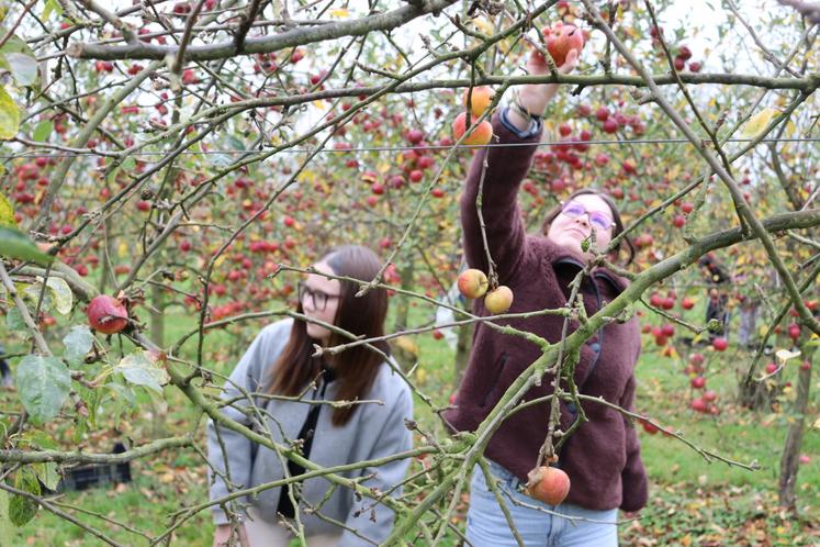 Les élèves en classe de quatrième à la MFR de Bernay n'ont pas rechigné à la tâche.
