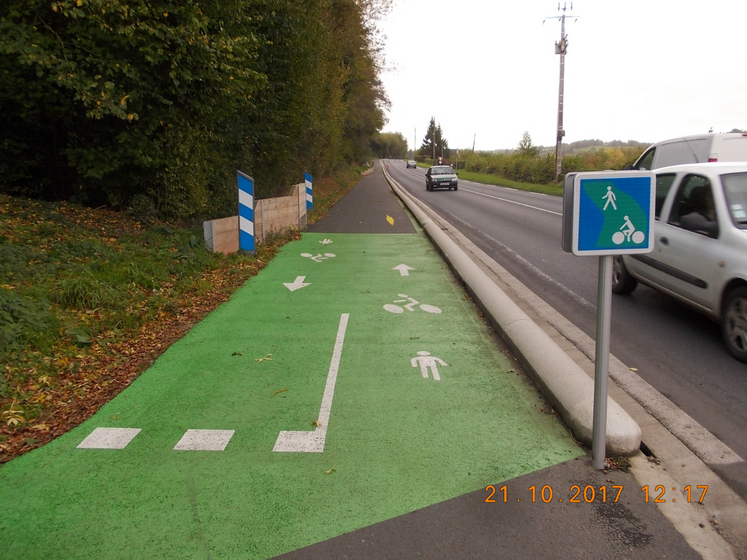La piste envisagée serait clôturée, à proximité des bovins.