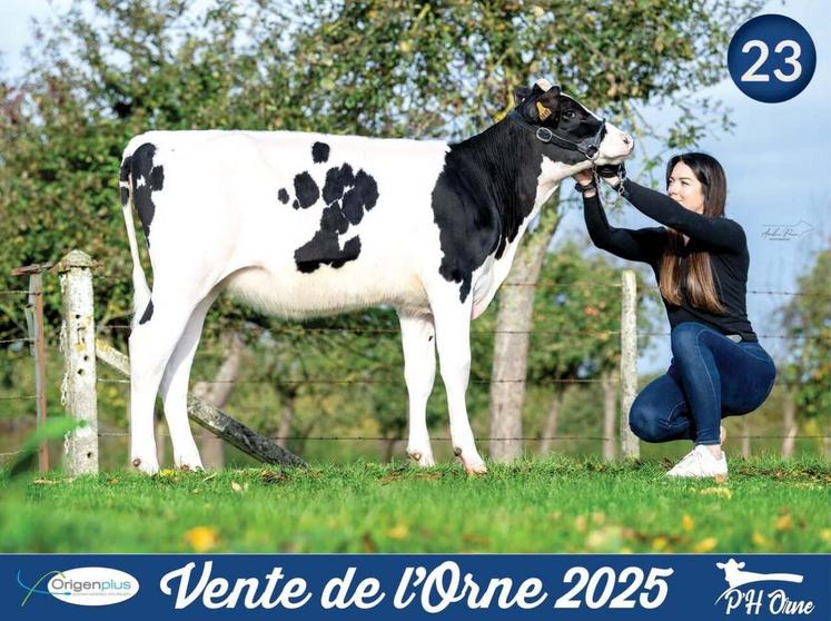 La génisse, Ambre F PP, a décroché le top price à 13 000 €. Un prix meilleur qu'au Space six semaines plus tôt.