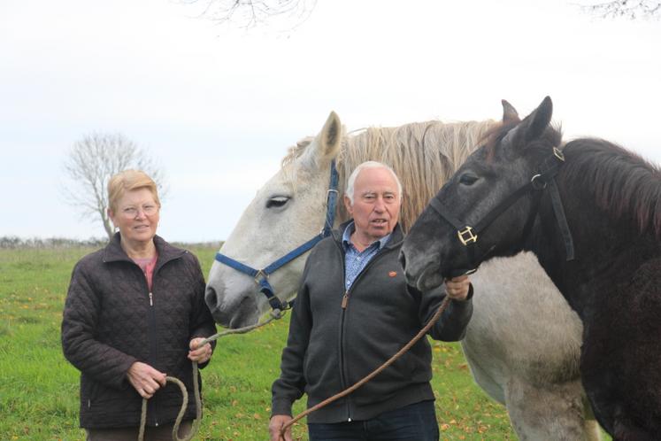 Jeanine et Denis Lemercier présentent Prune de la Dague, la pouliche qui participera à la Foire aux poulains percherons samedi 29 novembre à partir de 8 heures au Mêle-sur-Sarthe.