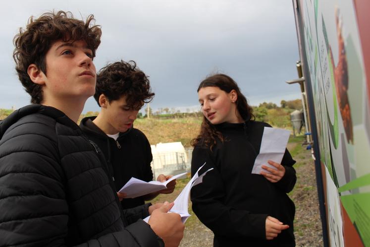 Sur les murs de l'exploitation, les cycles de production des porcins, bovins et caprins étaient à étudier pour trouver l'un des codes.