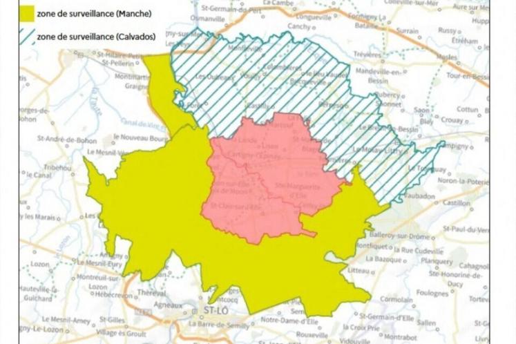 Lison étant en proximité de la Manche, 20 communes sont ainsi placées sous surveillance suite à la découverte d'un cas d'influenza aviaire.