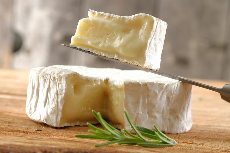 La Cibem va fermer ses portes d'ici la fin du printemps 2026.