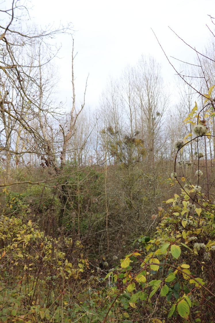 Henri Pomikal déplore les terrains laissés en friche par le Conseil départemental.