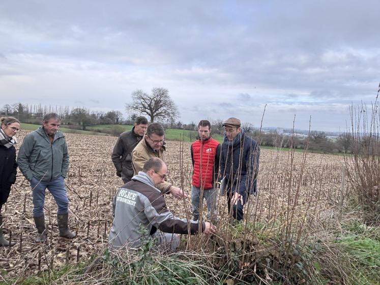 Les enjeux de la haie (biodiversité, érosive, patrimoniale...) ont été rappelés lors d'un échange entre l'administration et la profession agricole (Chambre d'agriculture, FDSEA et JA).