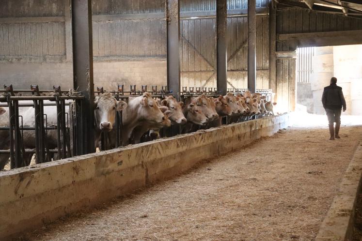 "Nous demandons aux autorités compétentes de renoncer à tout projet de prise en charge de cadavres infectés par la DNC sur le site de Saint-Langis-lès-Mortagne".