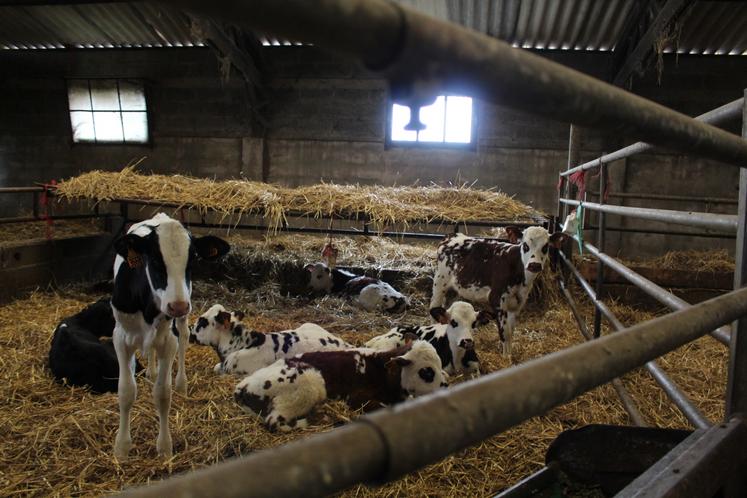 "Les outils existent, mais ils n'ont de sens que s'ils s'inscrivent dans une stratégie claire", intervient Mathilde Enjalbert, conseillère d'exploitation et référente production d'Elvup.