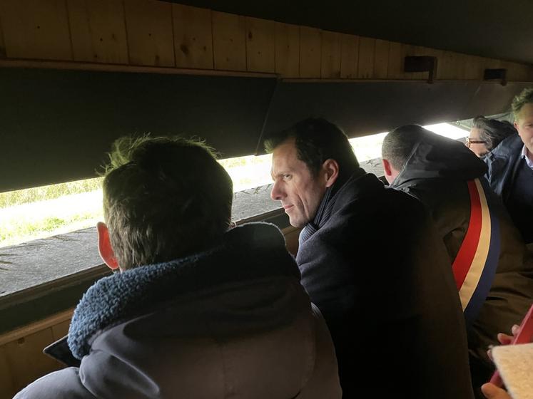 À Merville-Franceville, dans les Marais de la Dives, la faune locale est synonyme notamment d'oiseaux, dont de multiples espèces de canards.