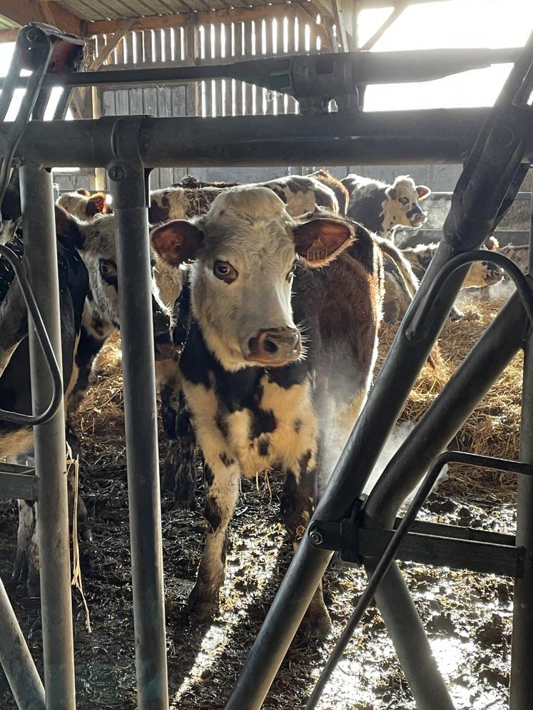 Visite sous préfet de Vire Martin Lafon chez Nicolas Declomesnil comité territorial CA14