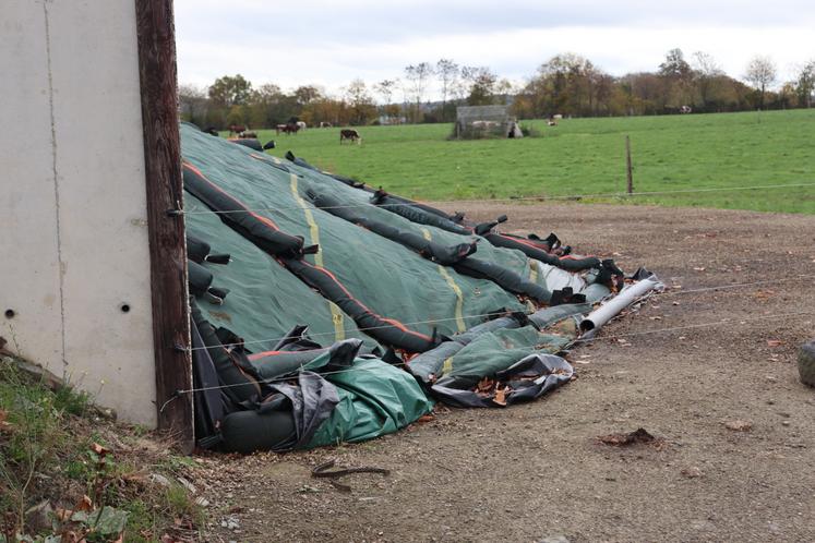Lors de la conservation des fourrages, Erik Sulmont, responsable grands comptes ruminant chez Lallemand, estime à "5 % les pertes incompressibles".
