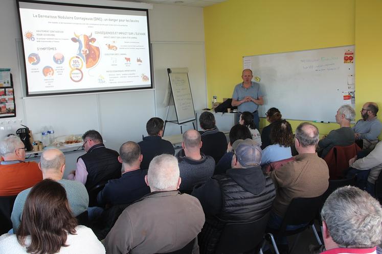 Les 4 réunions d'information sur la DNC proposées vendredi dernier par la Chambre d'agriculture ont attiré non loin de 400 éleveurs.