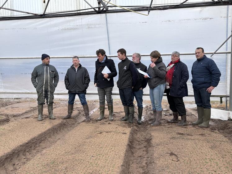 Serge Quentin, maraicher sur la commune des Pieux, a reçu une délégation de la Chambre d'agriculture, de la DDTM et de la MSA, afin d'évoquer les dégâts engendrés par la tempête Goretti sur ses serres.