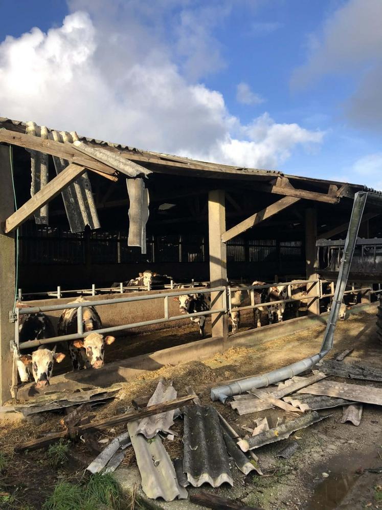 Au petit matin de la tempête Goretti, des éleveurs ont pu constater les dégâts sur leurs bâtiments.