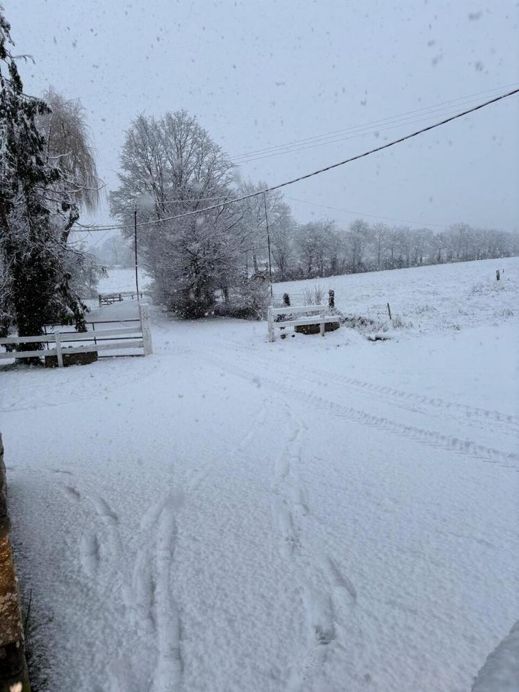 Aux portes de Torigny-les-Villes, la campagne a revêtu son blanc manteau.