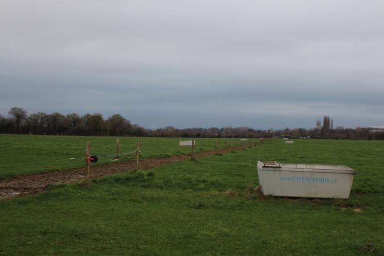 Un bac pour deux parcelles est installé. L'eau est acheminée par un tuyau non enterré, filant sur le côté de chaque paddock.