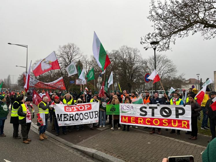 Outre des agriculteurs français, la mobilisation est largement européenne avec des Italiens, des Néerlandais, des Polonais, etc. Au total, 17 pays sont représentés lors de la manifestation.