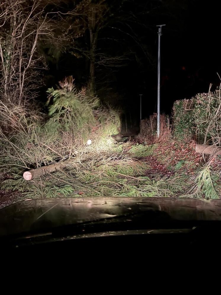 Dans le secteur de Lisieux, les coupures de courant se sont multipliées, avec les chutes d'arbres.