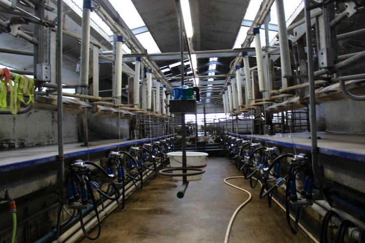 Ici, une salle de traite 2x8.