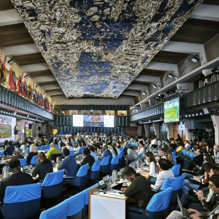 De passage en Italie, elle a passé une semaine au WFF (World food forum) organisé au siège de la FAO, à Rome, où elle a eu la chance de participer à l'adoption du texte sur le WASAG (Cadre mondial contre la pénurie d'eau dans l'agriculture).