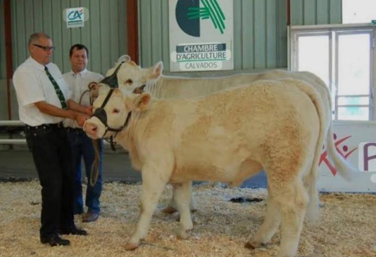 Foire de Caen, de Lisieux, Boeuf en fête à Maltot ou Saint-Pierre-en-Auge, tout y passait. Guy Flambard a transmis cet amour des concours à tous les agriculteurs qu'il a croisés.
