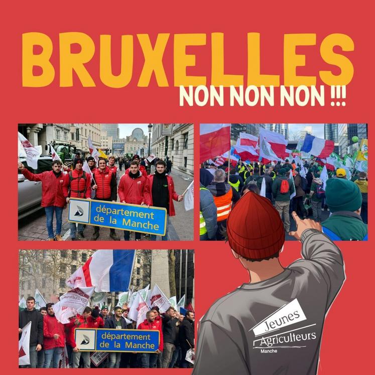 Les Jeunes agriculteurs de la Manche étaient au pied de la Commission européenne à Bruxelles pour dénoncer aux côtés de la FDSEA l'accordai du Mercosur entre autres.