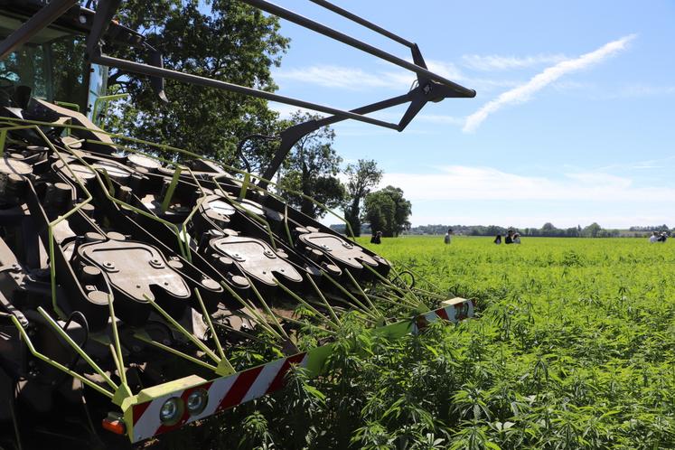 "Sans la faucheuse Hyler pour la récolte, nous aurions abdiqué", confie Nathalie Revol (LCBio). Et Marc Vandecandelaere de souligner les bénéfices du climat et terroir normand dans l'étape du rouissage.