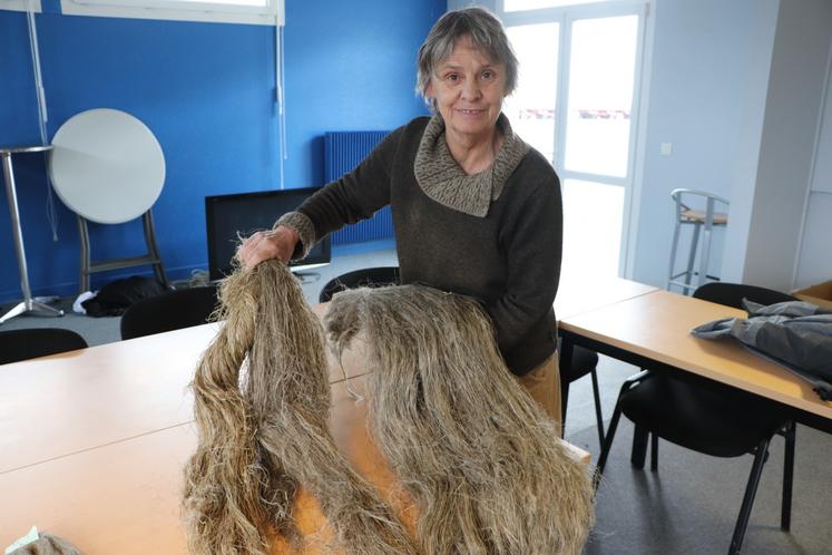 Le chanvre normand (à droite) a toute sa place face au chanvre chinois (à gauche), d'après Nathalie Revol (LCBio) qui s'est déplacé en Asie en octobre dernier.