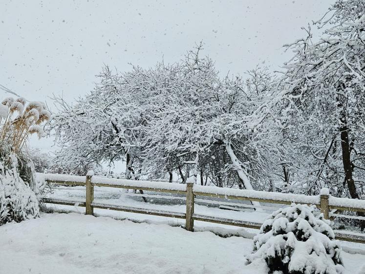 Pas monins de 7 cm de neige du côté de Savigny.