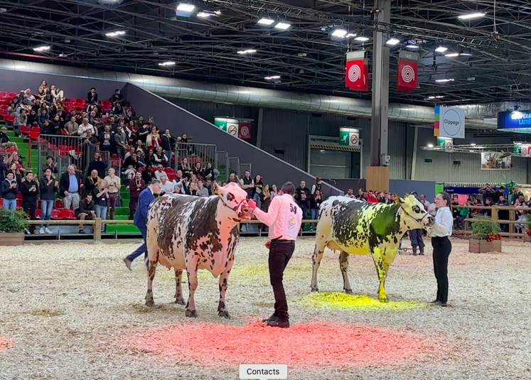 Plus de 600 000 visiteurs ont fait le déplacement au SIA, y compris pour voir des vaches lors des concours.