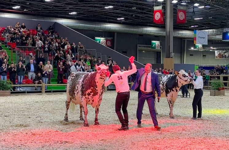 Le hall 1 qui accueillait le grand ring et de nombreux bovins va devoir se réinventer.