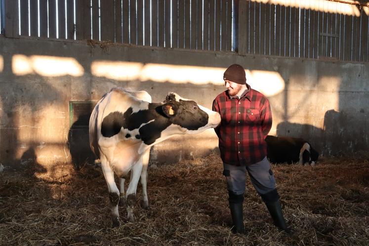 Il apprécie le contact quotidien avec les animaux, c'est pourquoi il s'est tourné un peu plus vers l'élevage laitier.
