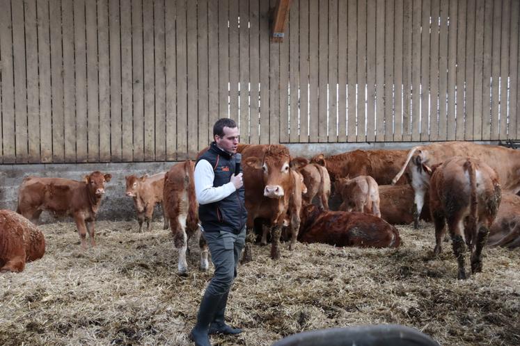 Benjamin Legigan est installé depuis 2015 à Brectouville. Il élève un troupeau de 27 vaches de race Limousine. Il souhaite construire un nouveau bâtiment pour lui permettre d'atteindre 100-110 vêlages par an.