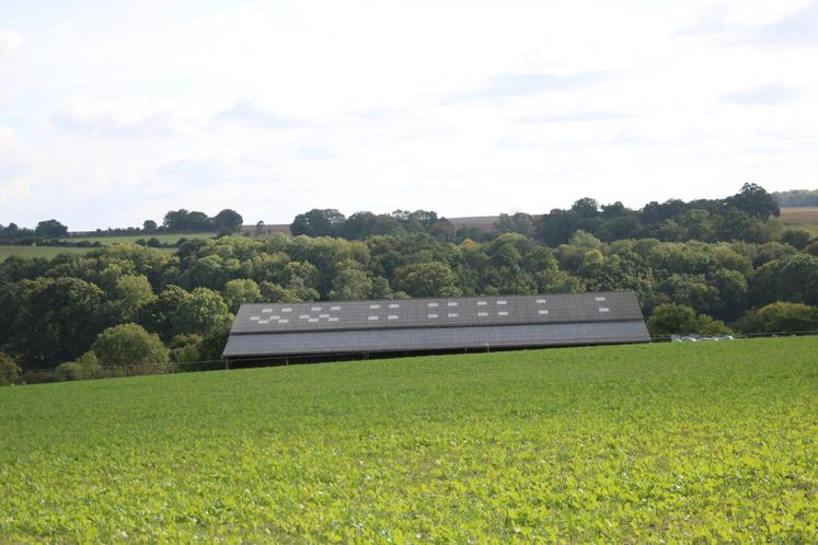 bâtiment - ferme - terre agricole