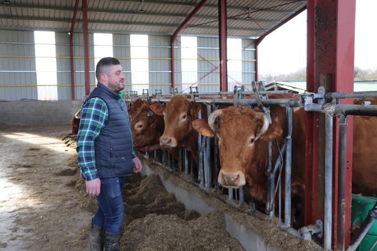 "L'agriculture, je suis tombé dedans petit. C'est la liberté de son temps et la passion de la ferme", tout simplement pour Benjamin, naisseur et éleveur d'une cinquantaine de vaches Limousines.