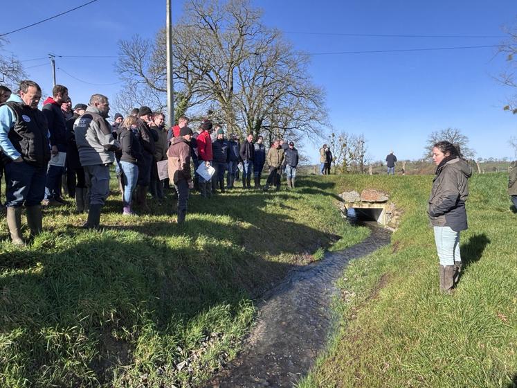 Dix-huit mois après la venue du préfet, une seconde visite préfectorale a permis de voir les travaux engagés sur le Bieu, cours d'eau qui traverse les champs de Laurent Bisson et Jean-Pierre Yvon à Brécey. Une visite concrète.