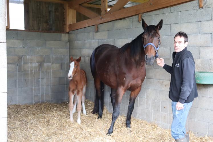 Élevage de Banville Catz Benoît et Damien Duprey. 