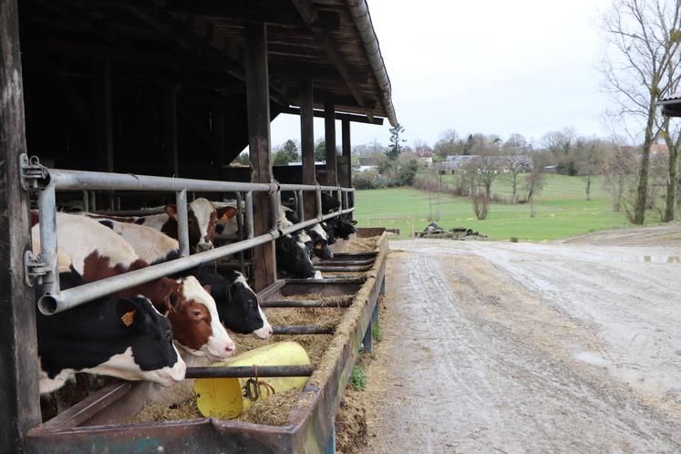 La ferme est installée au Reculey, à Souleuvre-en-Bocage.