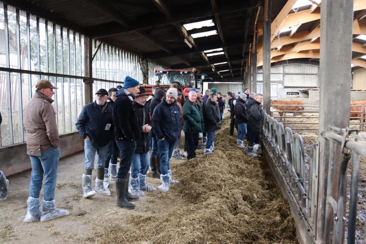 La thématique du jour abordée par les conseillers de Littoral bovins croissance a été la reproduction : choisir sa/ses période(s) de vêlages, gérer l'alimentation du troupeau et du taureau, détecter les chaleurs... De nombreux facteurs influent sur cette faculté.