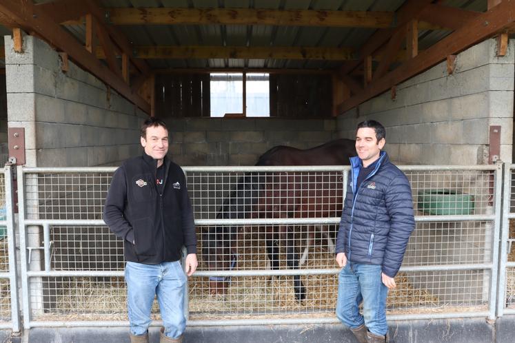 Élevage de Banville Catz Benoît et Damien Duprey.