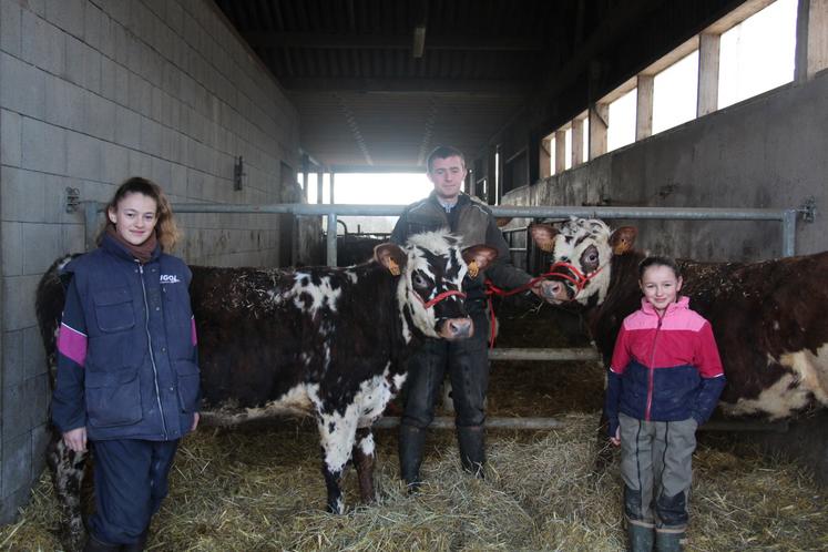 Louane (12 ans), Tony, apprenti de 17 ans, et Adèle (10 ans) avec deux veaux qui participeront au concours Jeunes Présentateurs lors de la Fête de la Normandie, dimanche 8 mars 2026 de 14 h 30 à 17 heures au Hall du Champ-de-Foire, à Argentan.