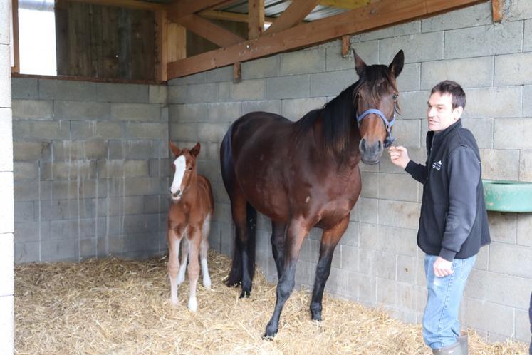 Élevage de Banville Catz Benoît et Damien Duprey.